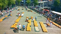 Ярмарка сыров в Алькмааре